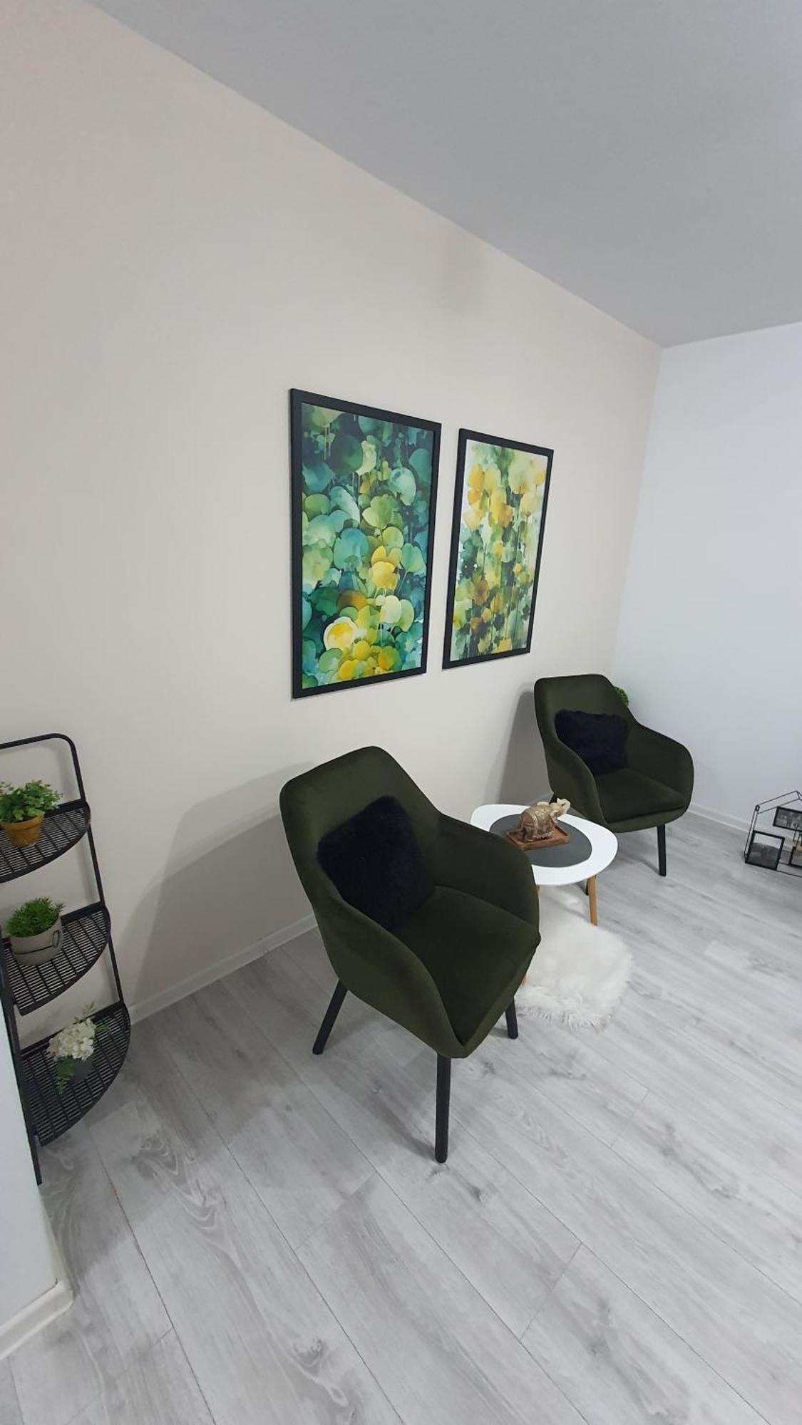 Green Apartment Coresi Braşov Dış mekan fotoğraf